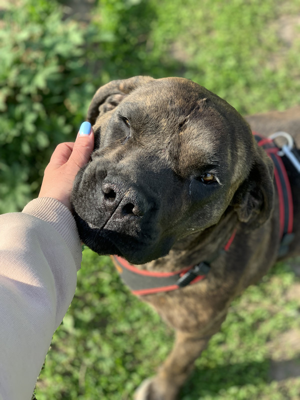 4DFAA6DB-F1AE-4B00-BF28-7CF6D11630D6