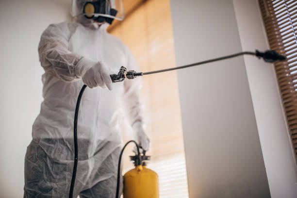 Kissimmee Termite Treatment