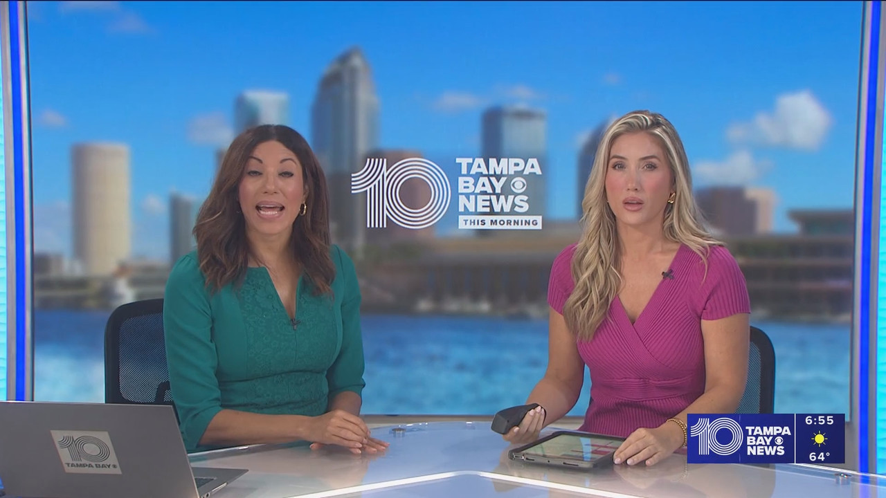 10 Tampa Bay News This Morning at 600 a m 20251119 11001200 ts snapshot 56 36 127