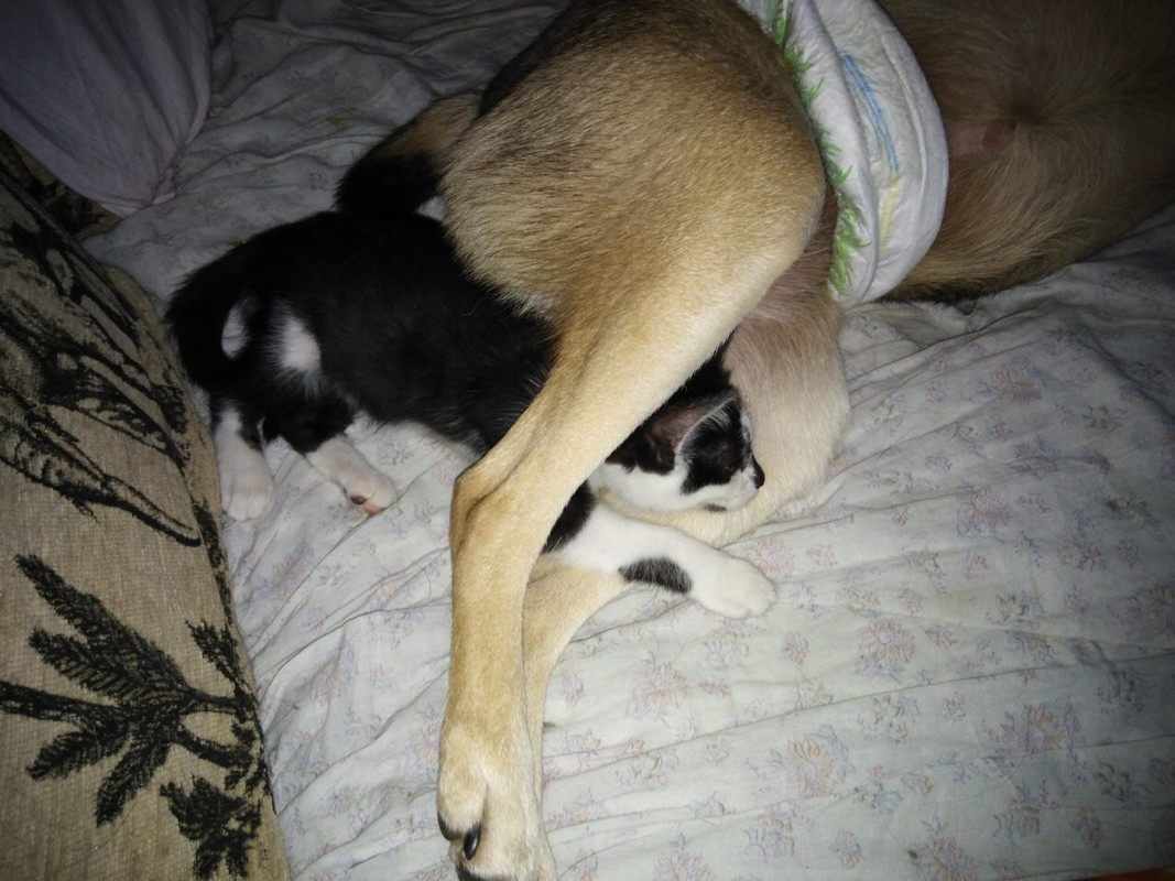 701C9B97-7CDC-4D9B-98AC-DCD2EF05F31A