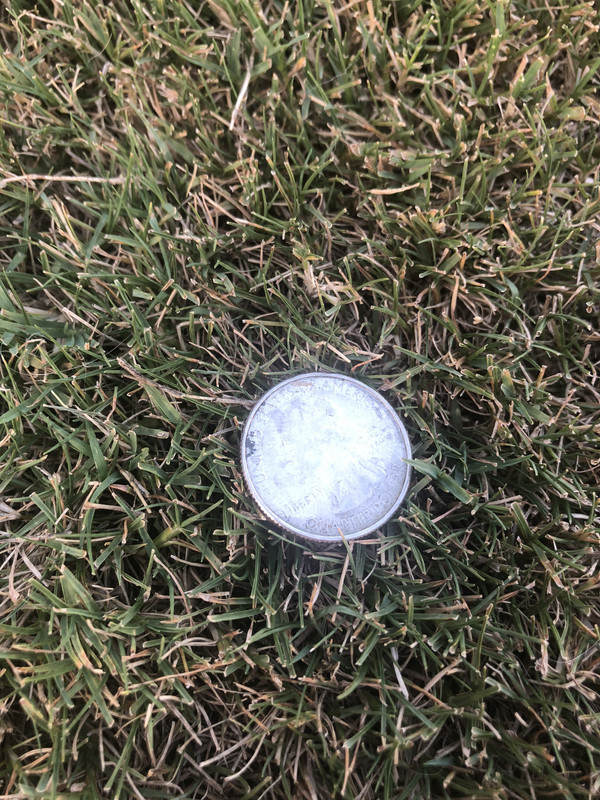 CB11D0B3-5604-4608-A59B-1CF564B91425