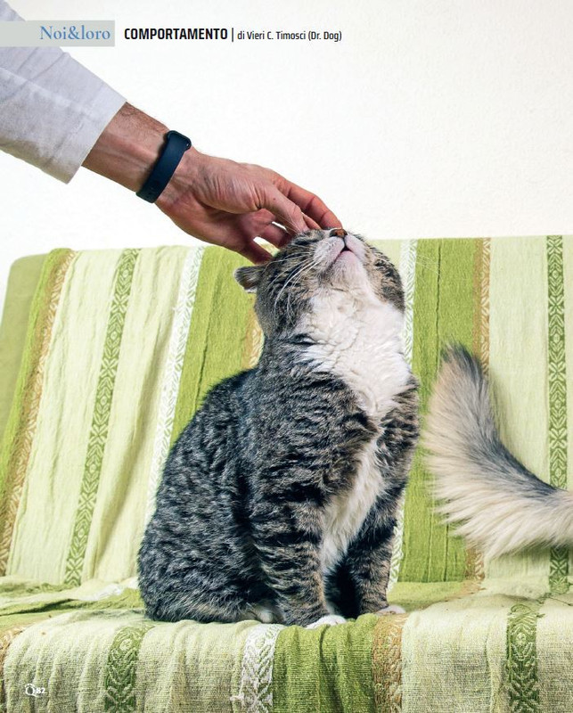 QuattroZampe Nov 2023 (3)