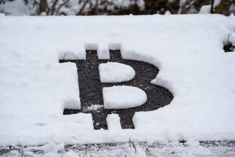 card image Обзор причин текущей криптозимы