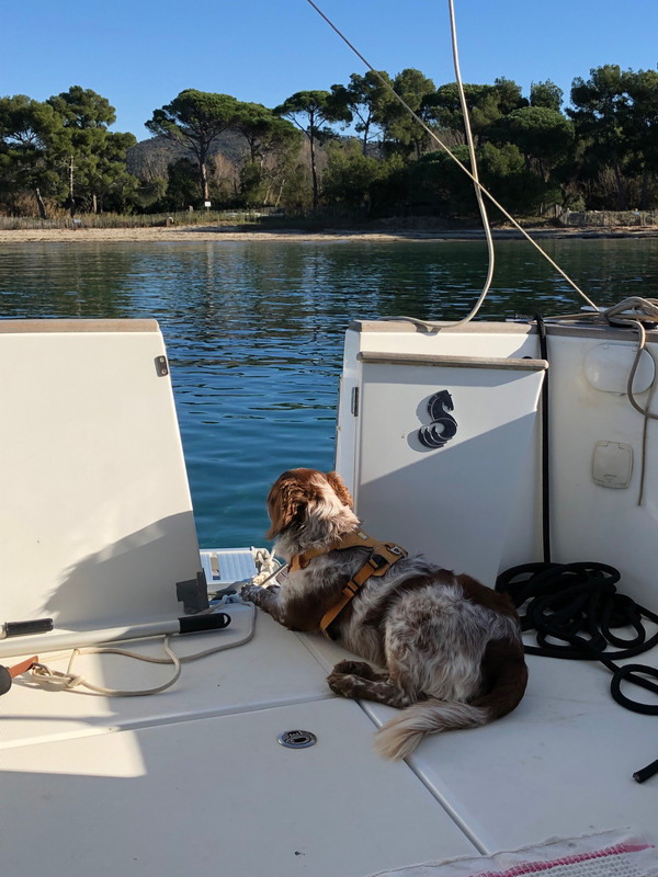 74AA2442-6F7F-45A5-9F70-BED65814F86F