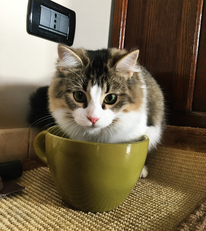 600E6AD1-5AC7-4719-8A9A-EA1960C8EFB8