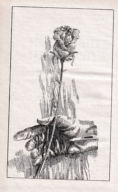 1995-page-0016