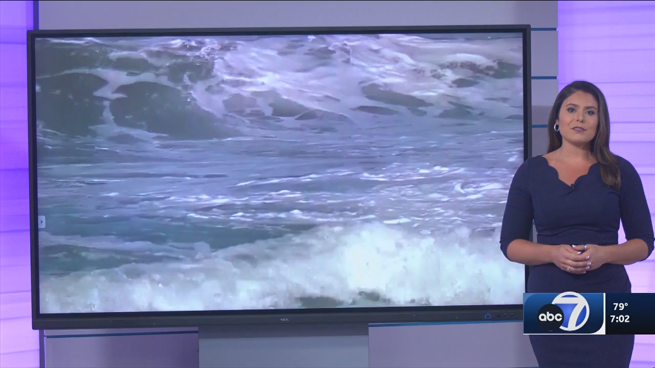 09.04 - 00.00.00 - ABC7 7O'Clock News  ᴺᵉʷ..ts_snapshot_05.43.273
