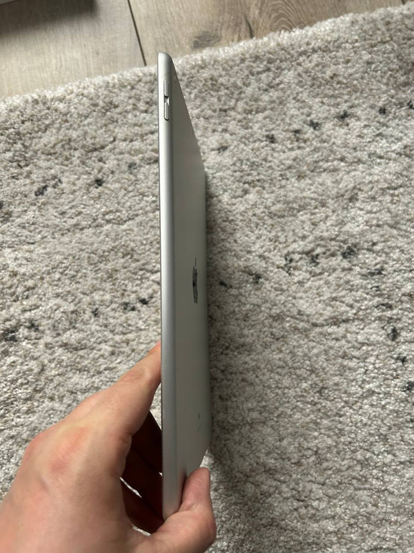 photo_2024-11-13_13-45-43 (2)