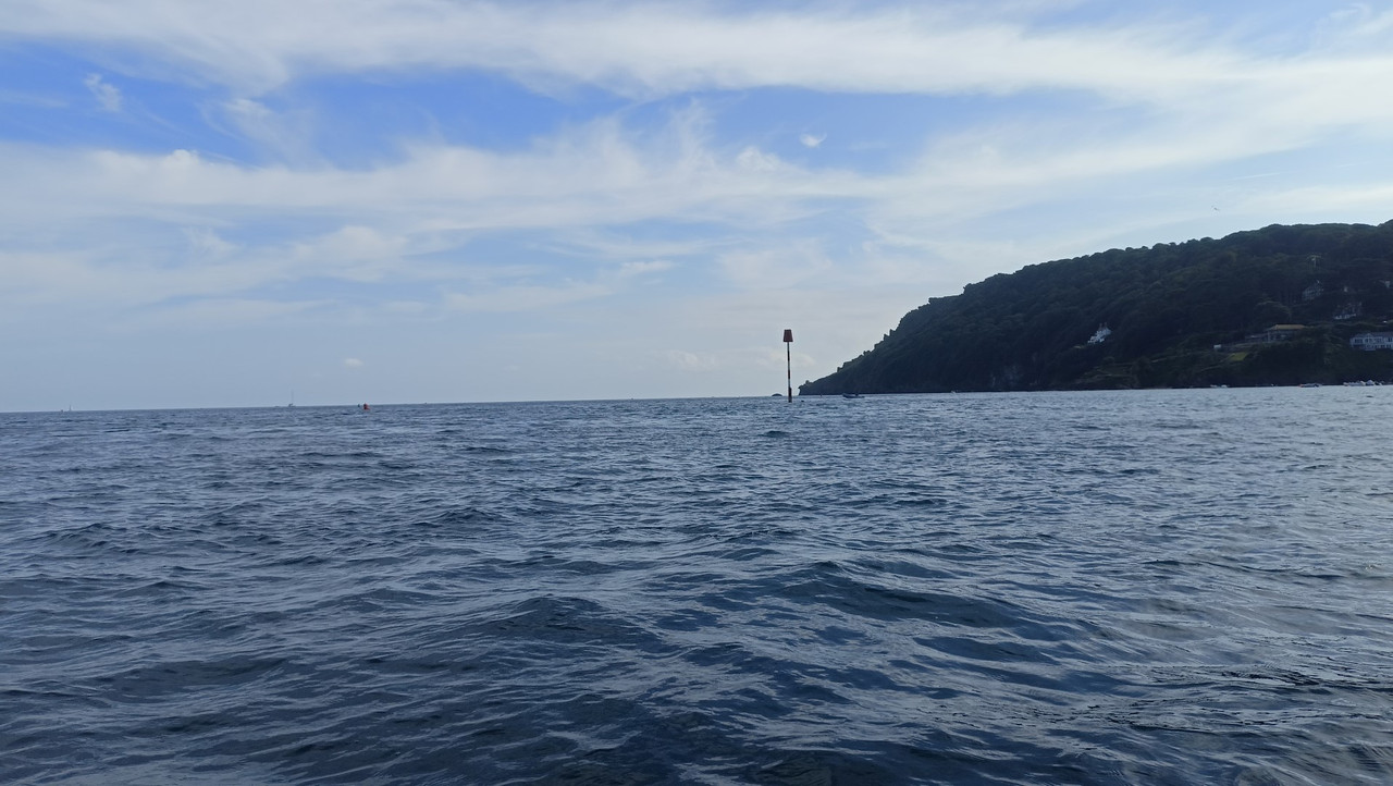 IMG20240804170613 (Large)