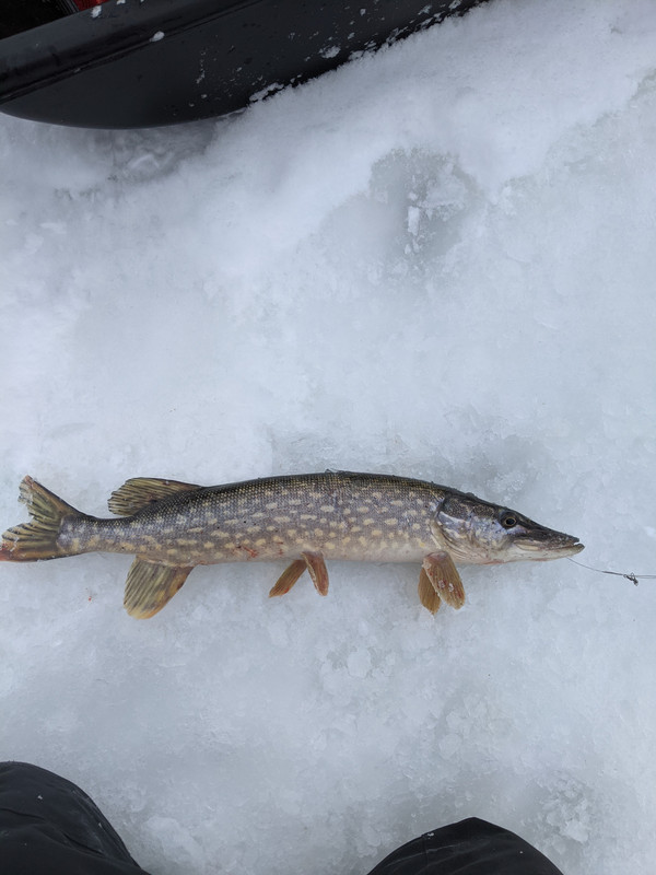 PXL_20210303_175127301