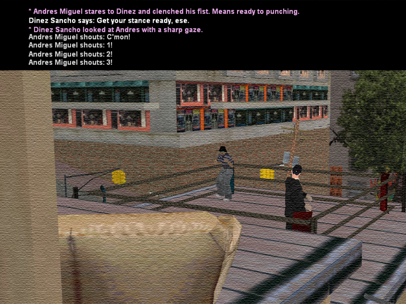 SSRoleplay111.png