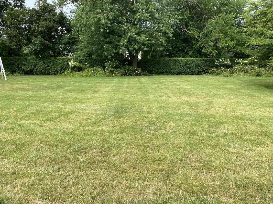 EA359BDB-E595-4C59-BC13-D0CCC9EA089D