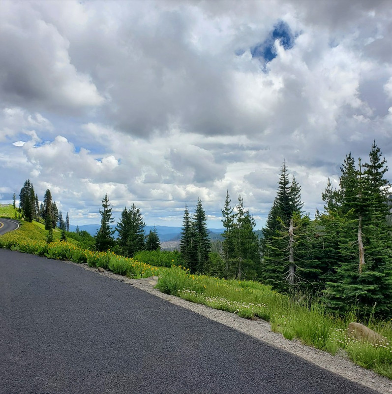 [Image: Lassen-VNP141853.jpg]