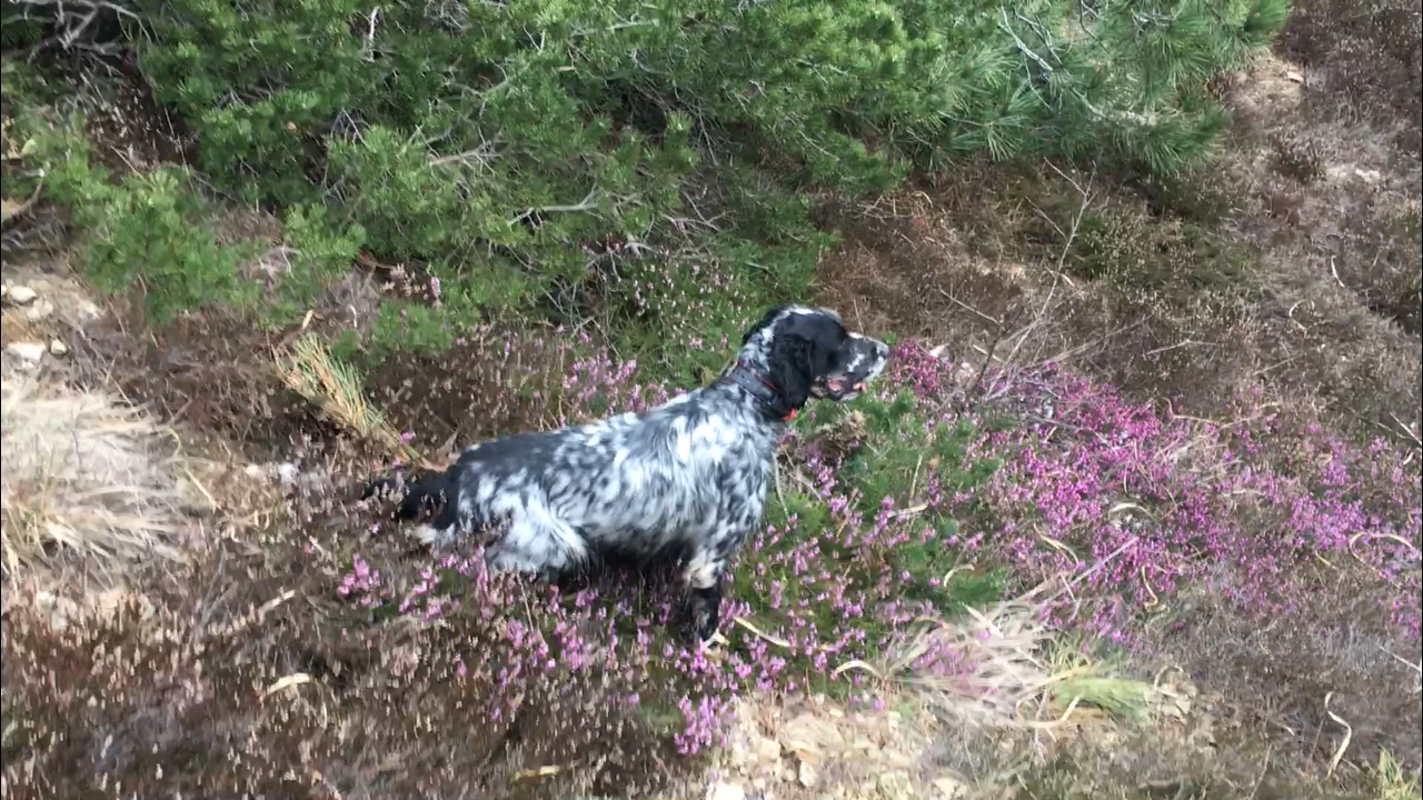 254DEECE-CE3A-45CC-85DE-180B52A48004