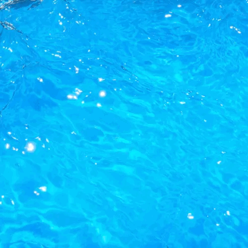 Tumblr l 4016513765648116