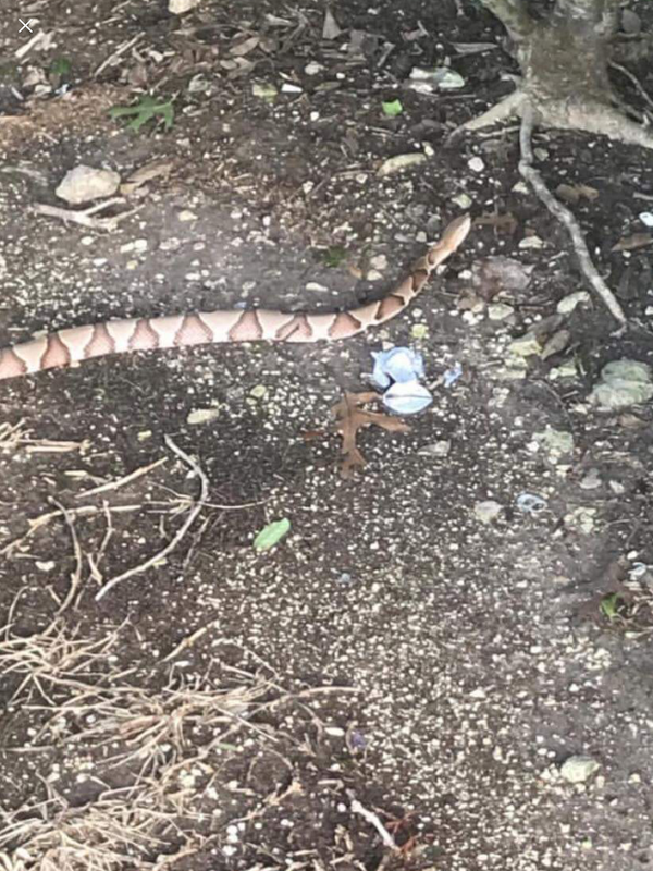 2BCC763C-AC66-47B5-91EC-BA1840CF0C93