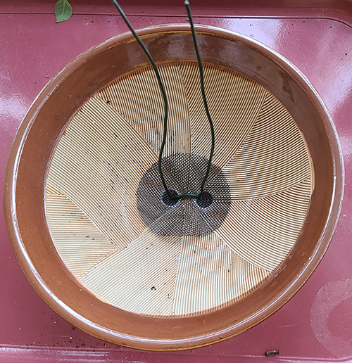[Image: 20250419-140712.jpg]