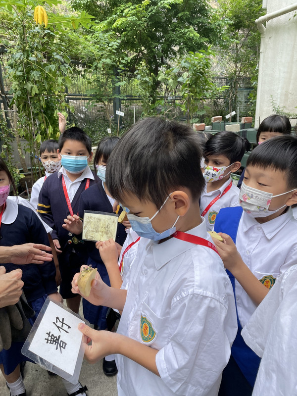 photo-littlefarmer2223-1B-004