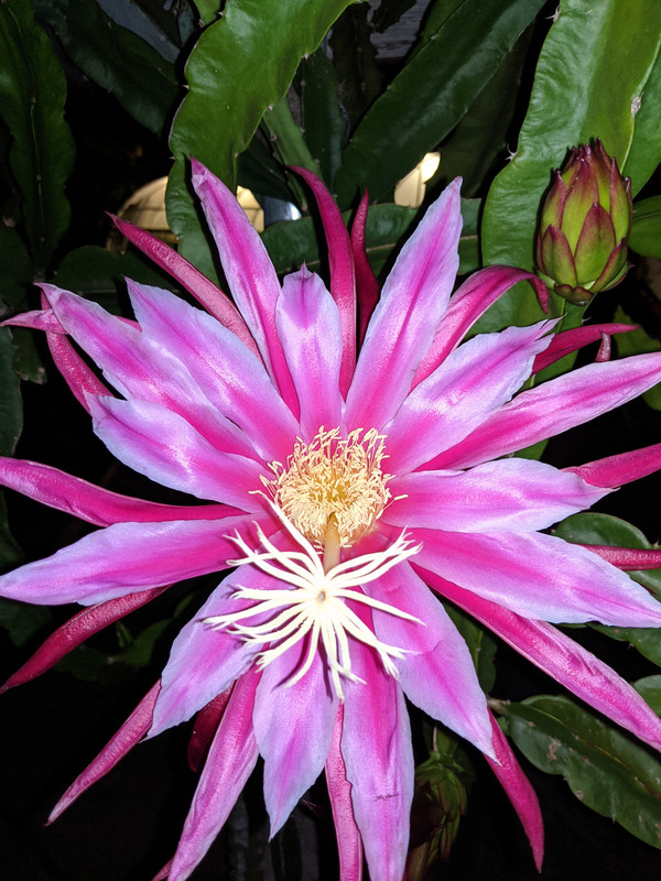 download_20200610_231231