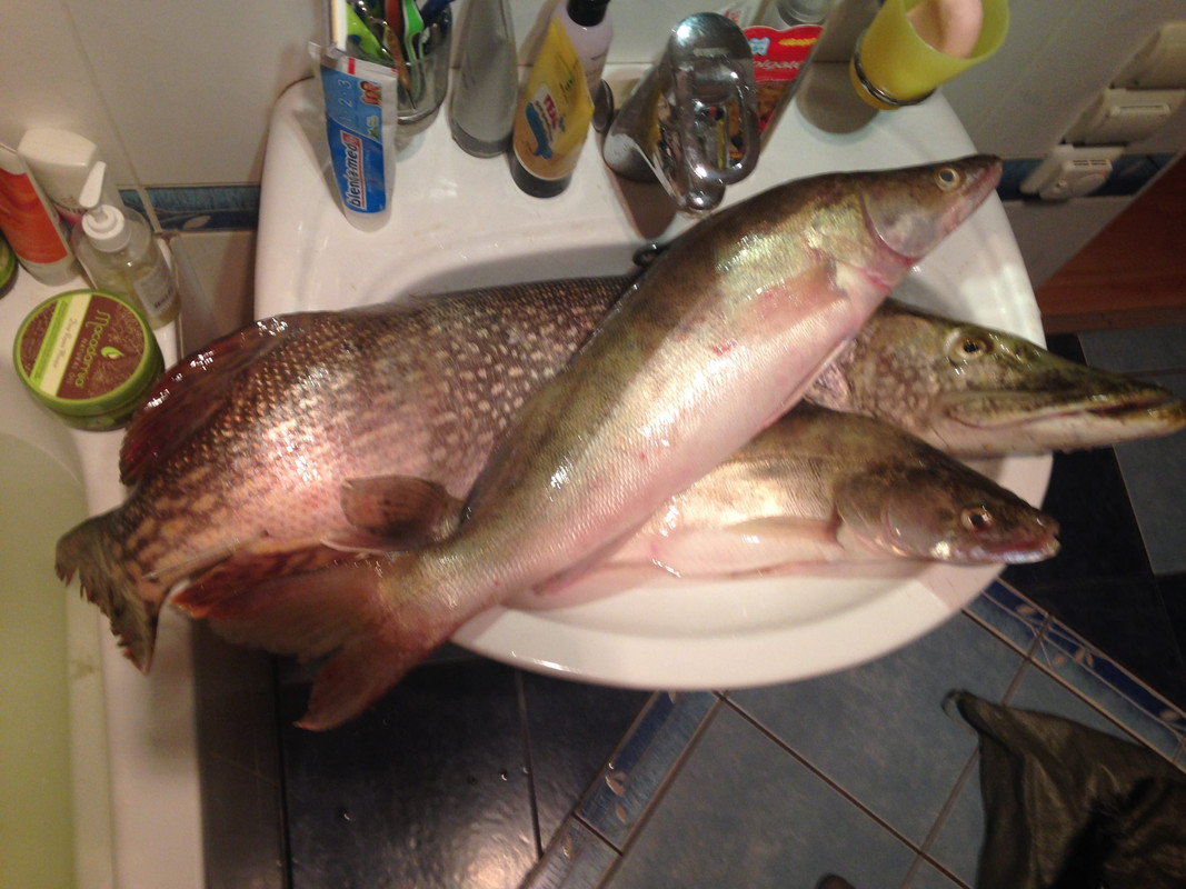 Поздняя осень, статья