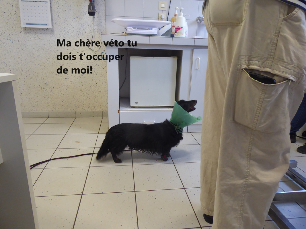 [Image: P1030983.jpg]