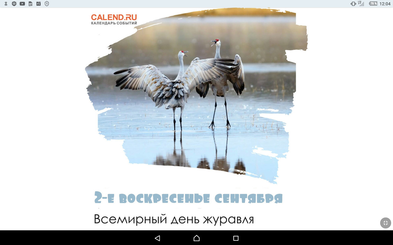 Screenshot_2022-09-11-12-04-35