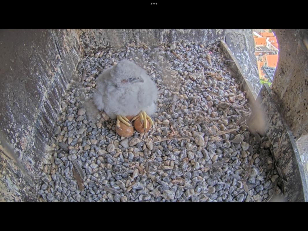 4DAA2765-F268-4650-A06F-F78A695CF995