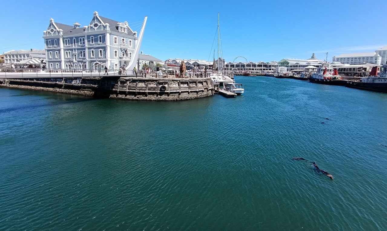 Такая близкая Африка. (ЮАР. 22 дня и 4200 км. Ноябрь-Декабрь) Такая близкая Африка. (ЮАР. 22 дня и 4200 км. Ноябрь-Декабрь)