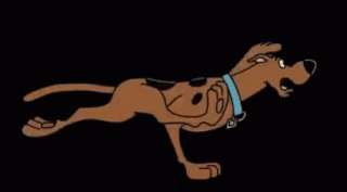 running-scooby-doo.gif