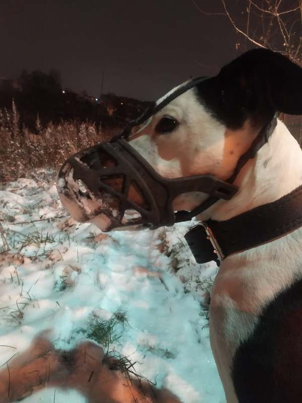 13BCAD9A-2BBF-4ED4-BF21-31929A9FFE96