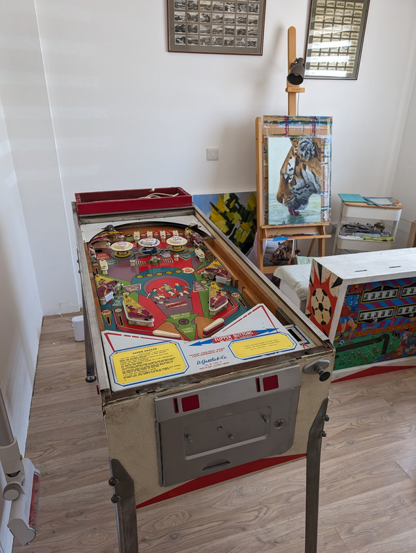 PXL_20240511_093602420 (1)