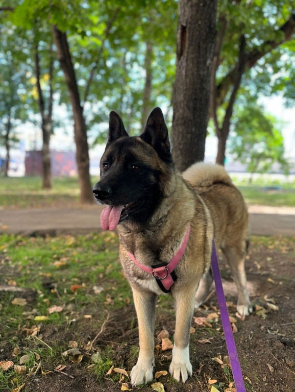 86197EF1-883A-42B9-AD44-819B189658E8