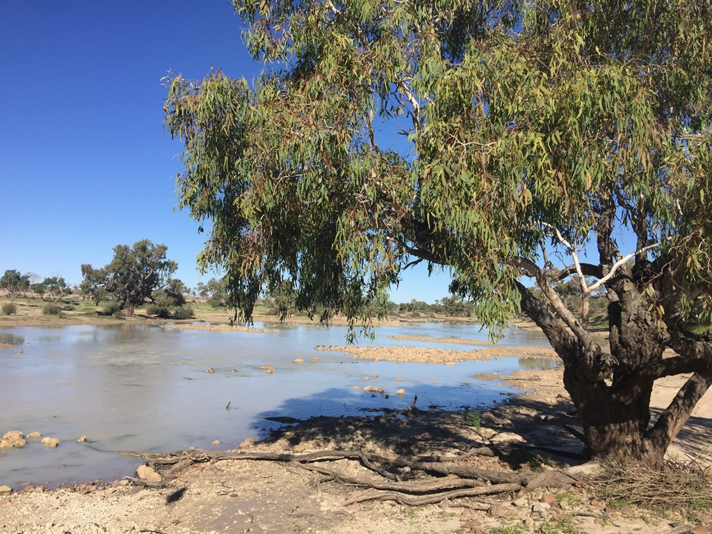 2019-Madigan-Line-Simpson-Desert-TRIP-2430.jpg