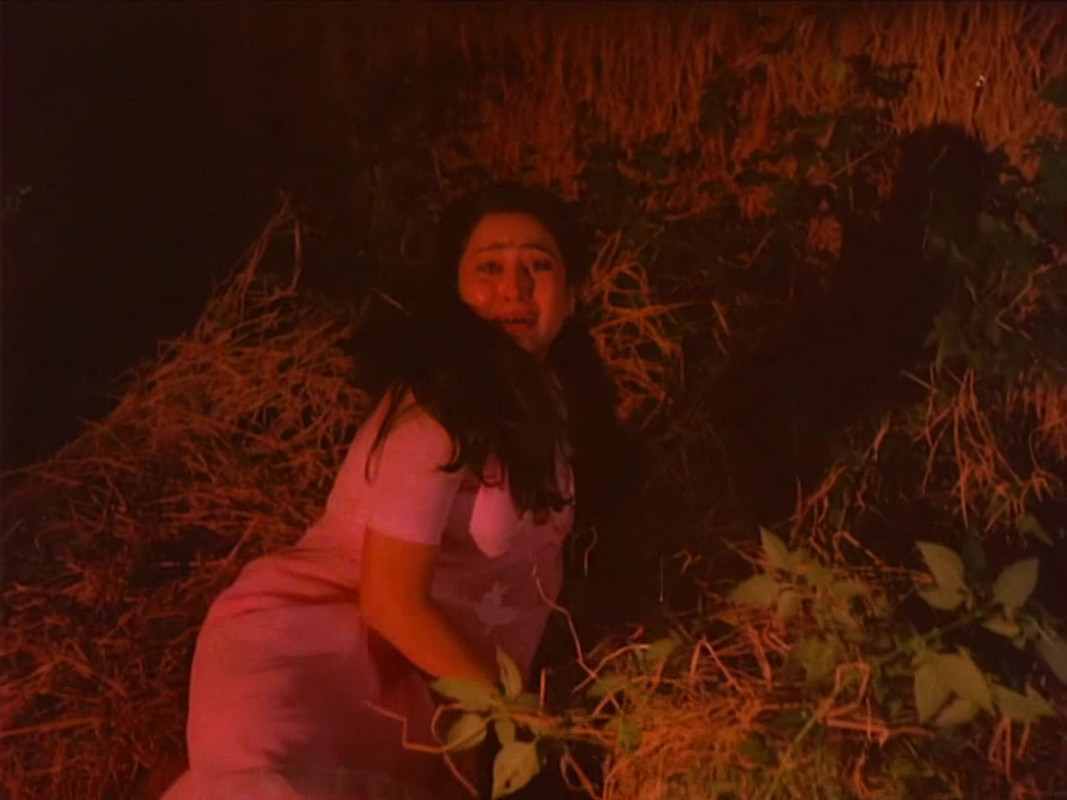 vlcsnap-2022-06-29-08h17m52s593