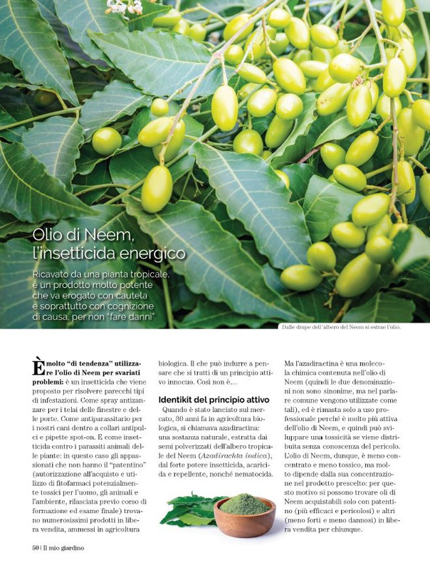 Il Mio Giar Ago-Set 2023 (9)