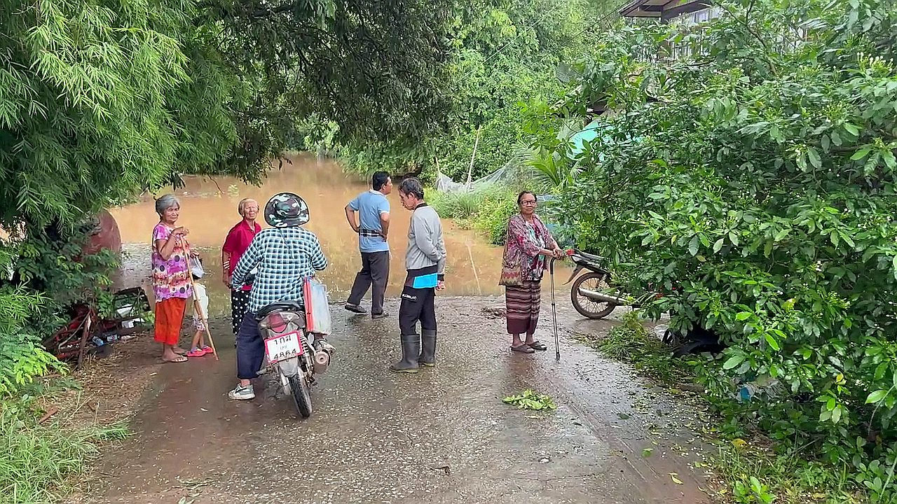 vlcsnap-2025-09-01-14h29m35s991