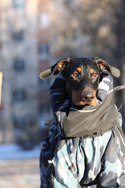 038D32B6-744F-4E72-A400-CA59CD177EAB