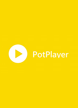PotPlayer v1.7.22542 直装绿色版