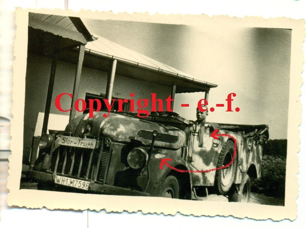 FOTO - FAHRZEUG - KÜBELWAGEN - DIVISIONS-WAPPEN