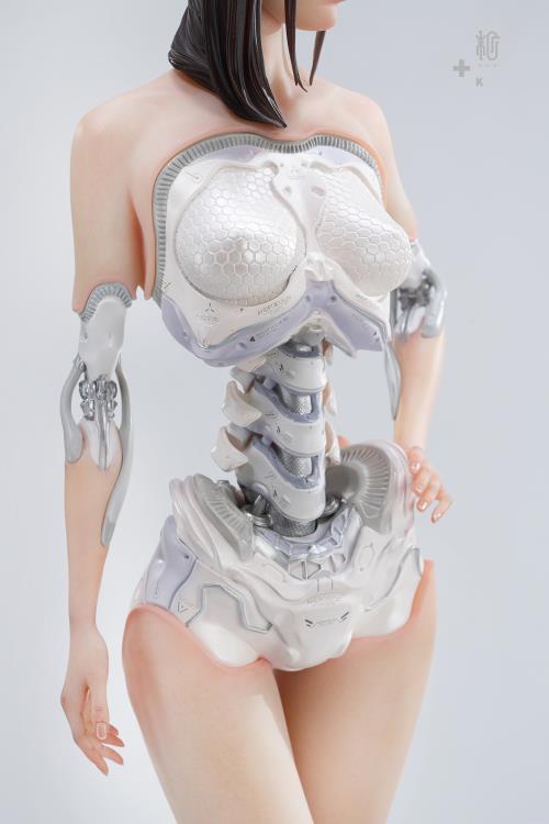 torso-front.jpg