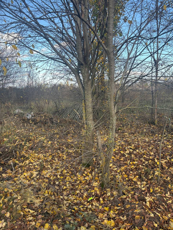 photo_2025-10-12_17-09-56