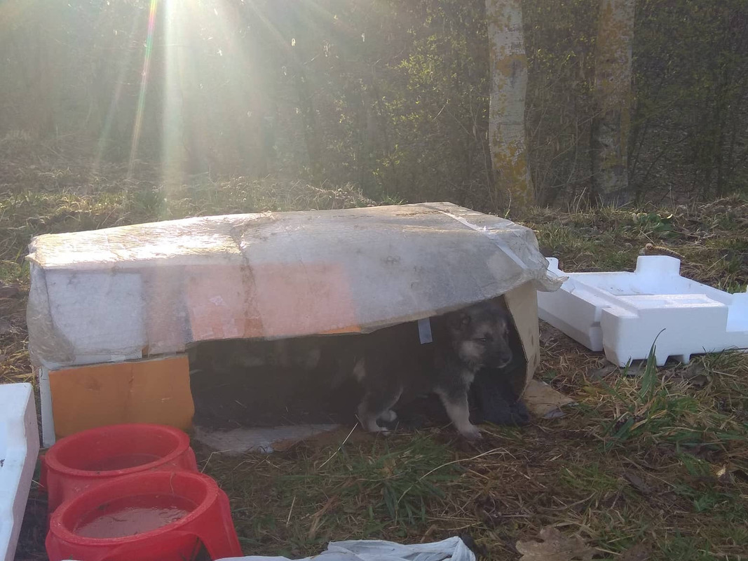 07952C65-9871-4567-9EB1-D6285E8A8148