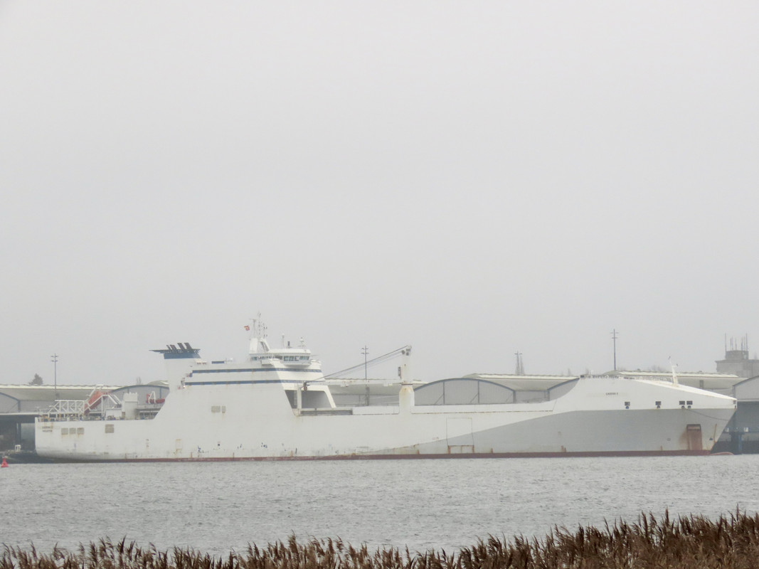 81D5695C-9B81-4198-A1F4-CD66E71136D3