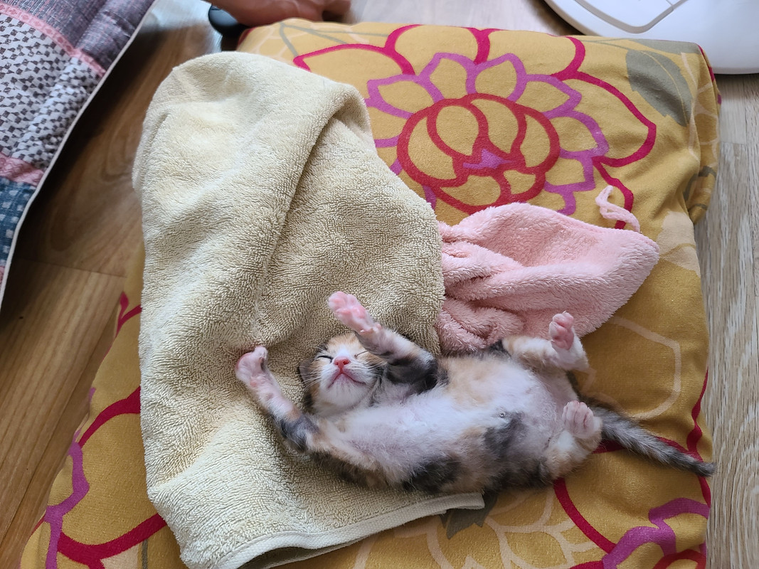 KakaoTalk_20230806_174426711_10