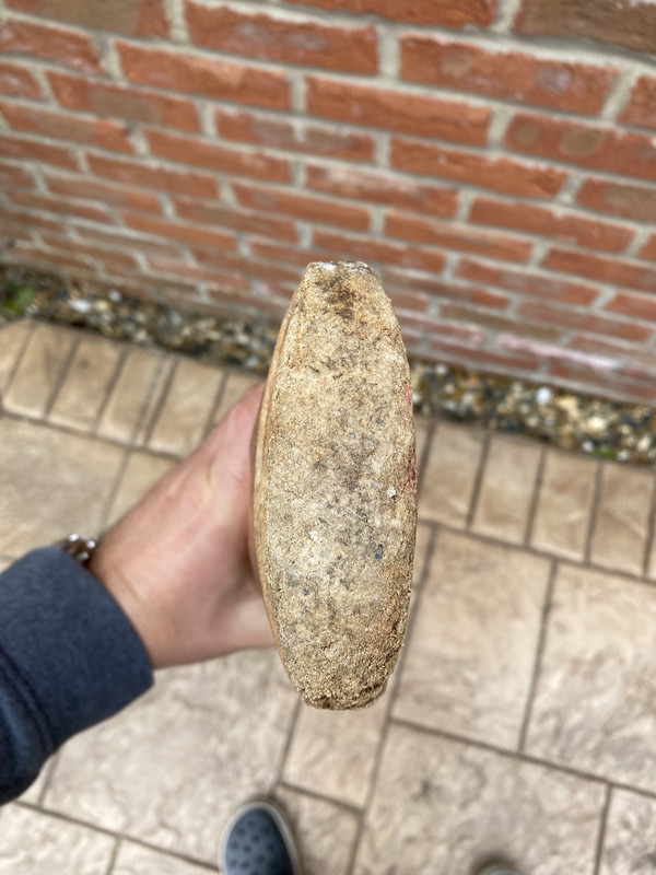 C3AD32F4-7ADA-4F45-A426-C854CCA1500A