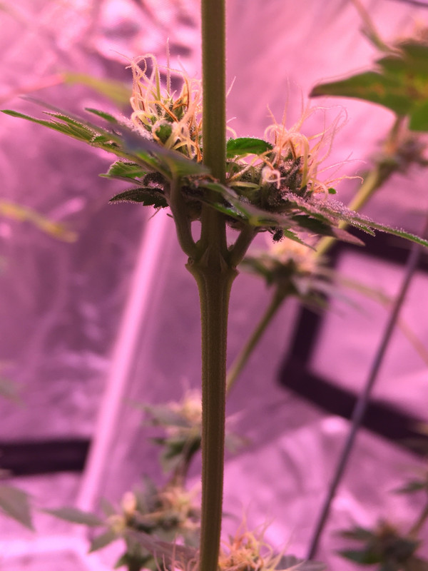 066F4F4C-7BED-42BC-B0D9-F856475BFAAF