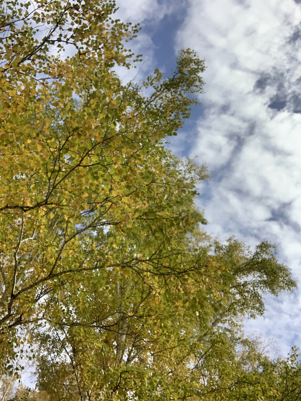 93511A21-08DB-4627-9EC6-A98E748DFF82