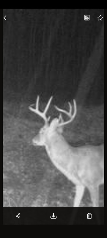 Screenshot_20250209_073825_SPYPOINT