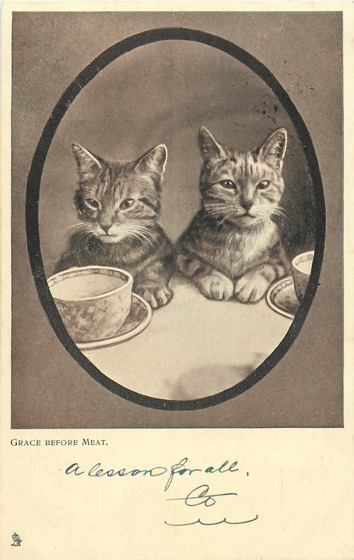 02-2011-10-06-11-37-37