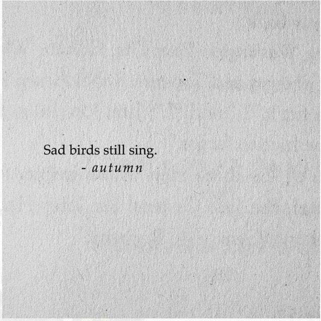 bf6d3f703b7150db1b63ef48b2e9a205